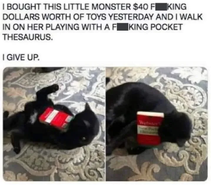 Cat thesaurus
